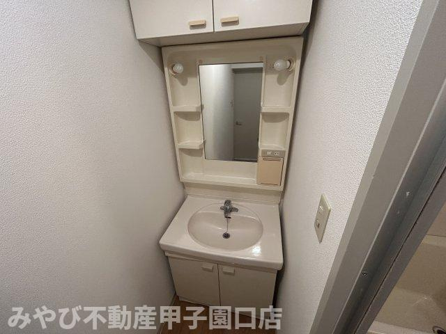 メイプルコート若草の洗面所
