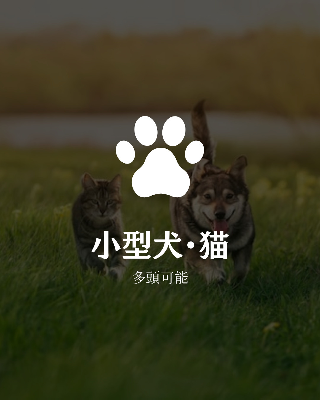 ソピア大濠西のその他