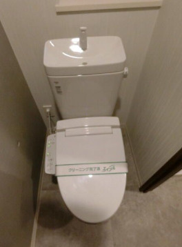 skyresidence新御徒町のトイレ|落ち着いたトイレです
