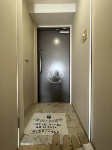 ウィルテラスなんば南の玄関|ウィルテラスなんば南　玄関