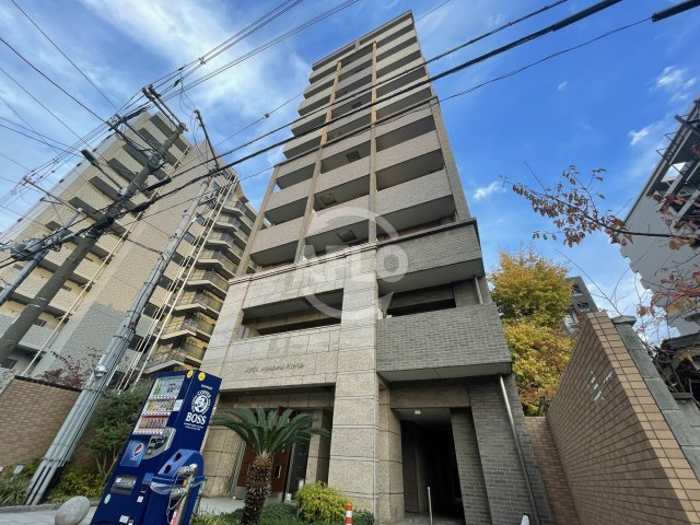 エイペックス南堀江の外観|エイペックス南堀江　外観