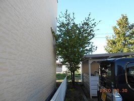 レオパレスナルシッサス　ハウスのその他