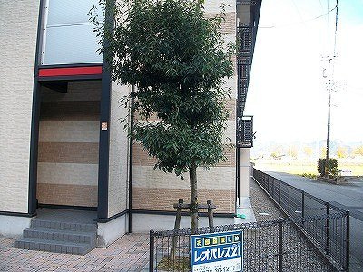 レオパレスドリームⅡのその他
