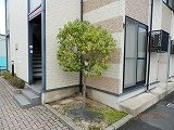 レオパレス敏のその他