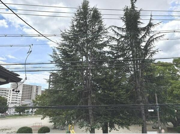 柏井町１丁目戸建の展望