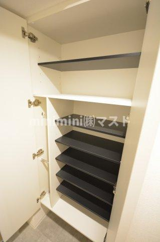 セレニテ日本橋ミラクの収納