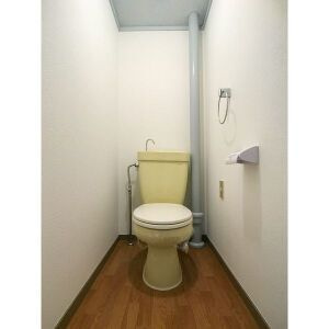 堀内ハイツのトイレ