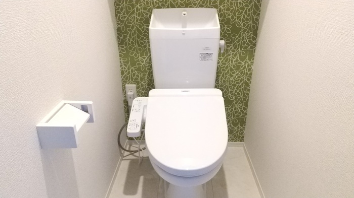 D-ROOM隈府　A棟のトイレ