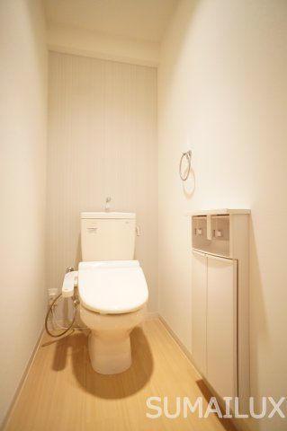 熊本市南区御幸笛田２丁目の賃貸マンションのトイレ