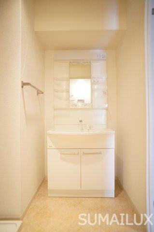 熊本市南区御幸笛田２丁目の賃貸マンションの独立洗面台