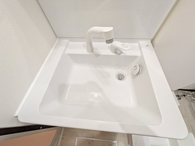 パークメゾン鷺沼の洗面所