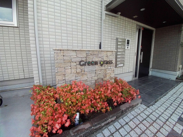 Ｇｒｅｅｎ Ｇｒａｓｓのその他