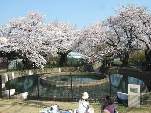 バンベール高津のその他