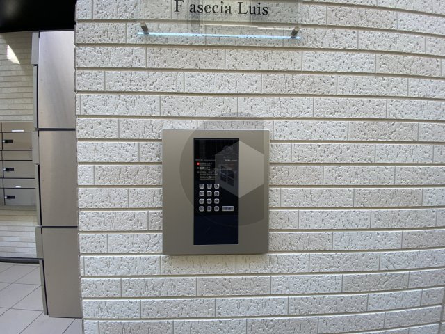 F asesia ルイスのセキュリティ