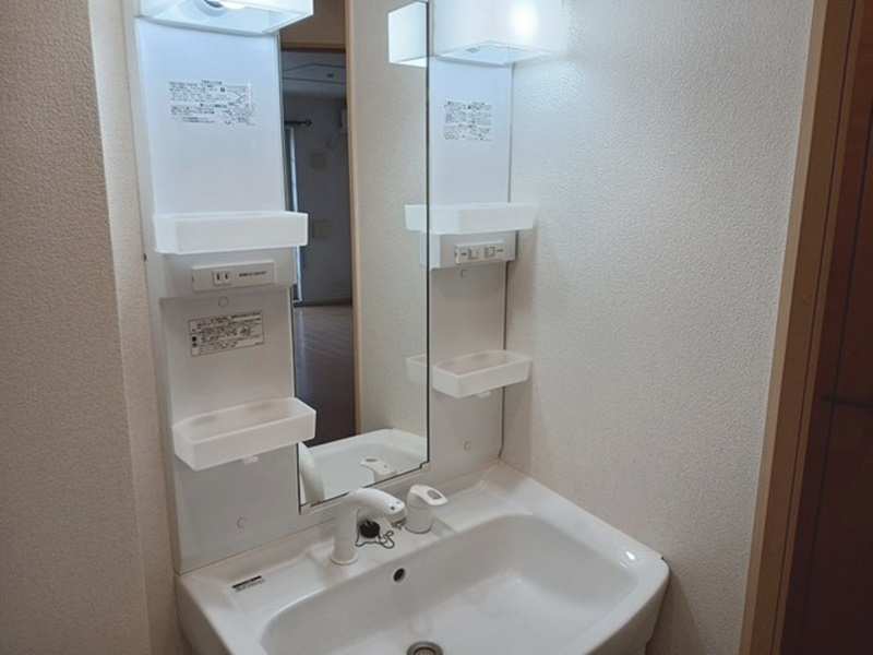 カーサ アルバAの洗面所