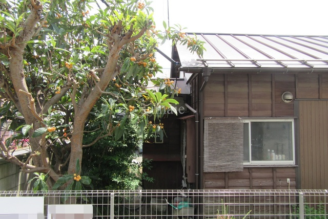 セレシェイラ弐番館の展望|窓からの景色です♪