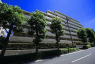 カーディナンス永山の画像