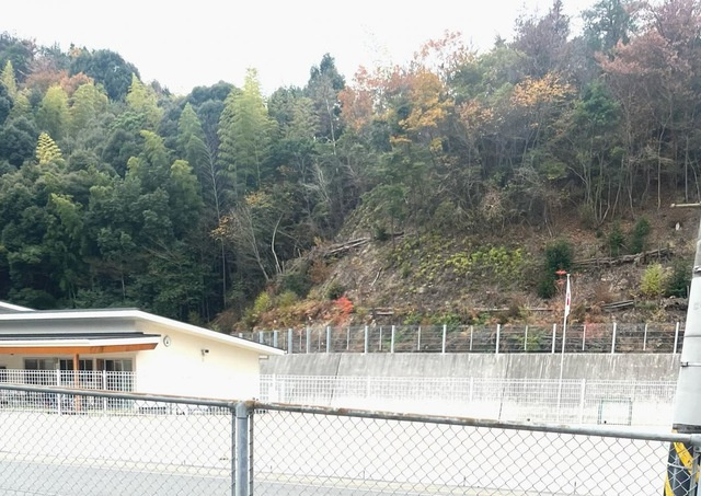 アクアサイド上の浜の展望|池田保育園 1km