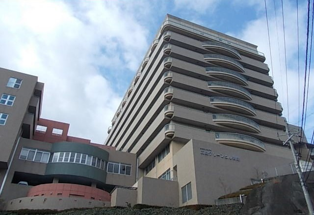 ラピスラズリの外観|その他