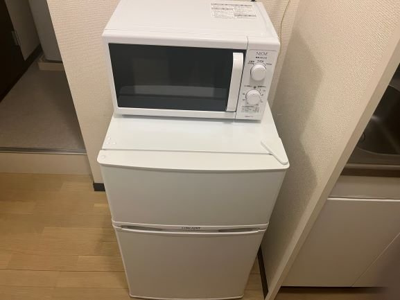 レオネクスト苅藻のその他