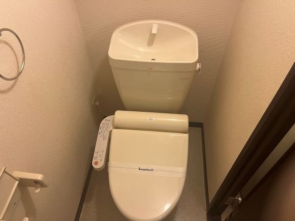 レオネクスト苅藻のその他