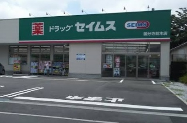 アーバンパレス北町のその他|ドラッグセイムス国分寺並木店
