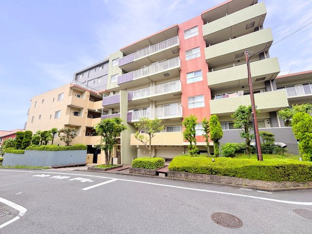 の-の画像