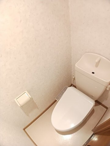 菊池郡菊陽町大字津久礼の賃貸マンションのトイレ