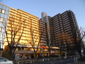 コア・スターレ西大井の画像