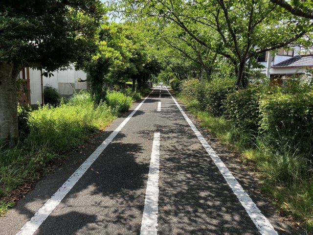 諸富町山領戸建ての周辺|サイクリングロード