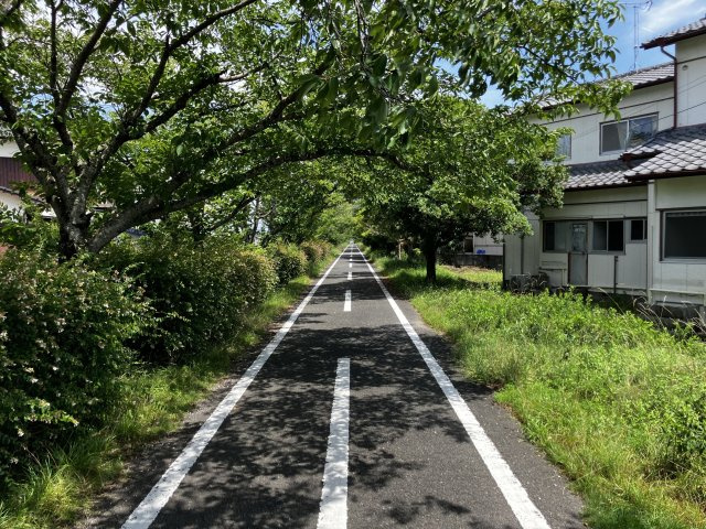 諸富町山領戸建ての周辺|サイクリングロード