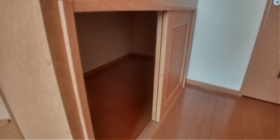 レオパレス水辺の里の内装