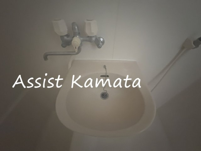 メゾン・ド・ソレイユⅢの洗面所