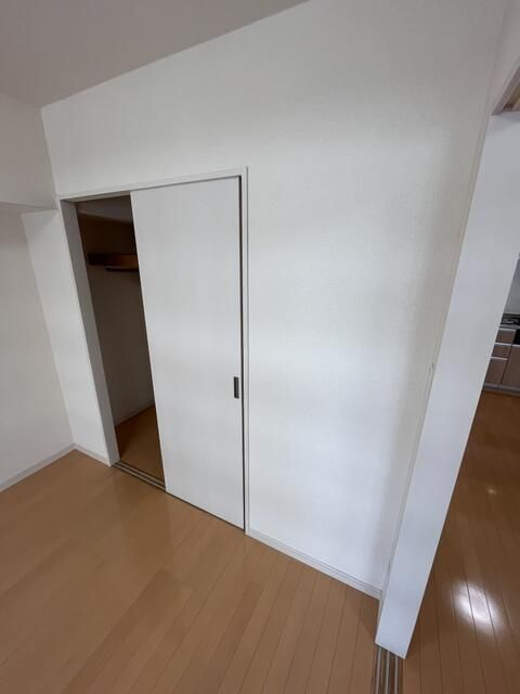 三軒茶屋グリーンマンションの収納