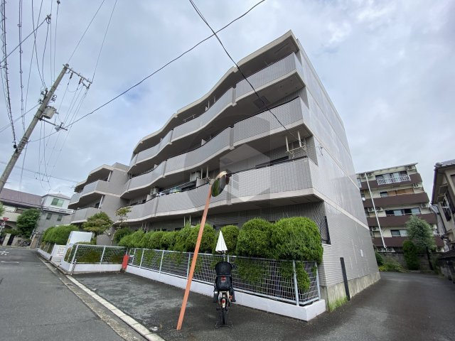 シロハイヌ小阪