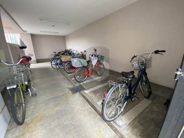 シロハイヌ小阪のその他