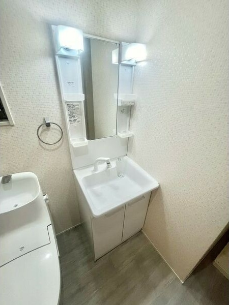 villa de naruoの洗面所