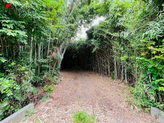 【庭】 | 坂戸市赤尾　中古戸建