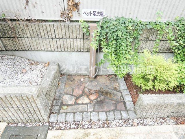 グレイスBのその他