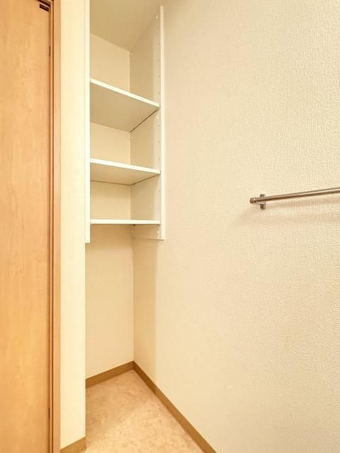 セレストのその他