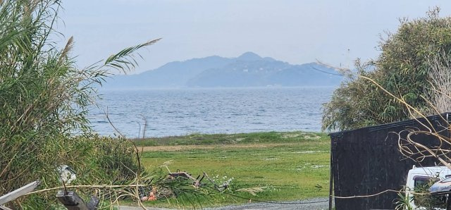 福吉1丁目土地の展望|敷地内奥側はやや高台となっており、僅かながら海が見えます！漁港管轄地内の草木は許可申請後、認可された