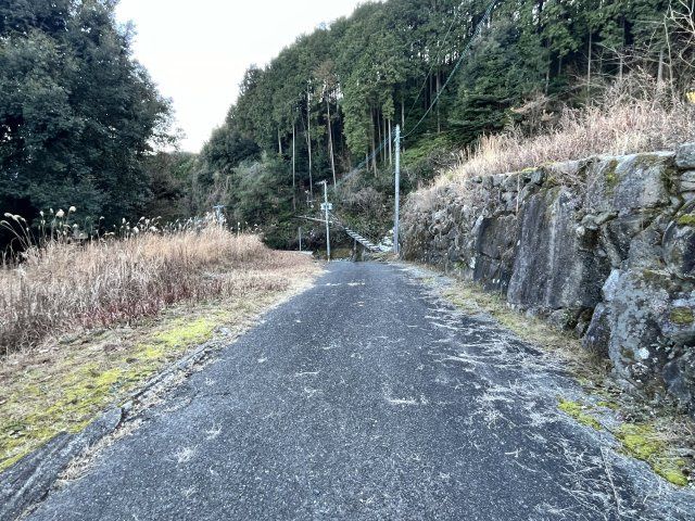 成竹売地のその他|前面道路