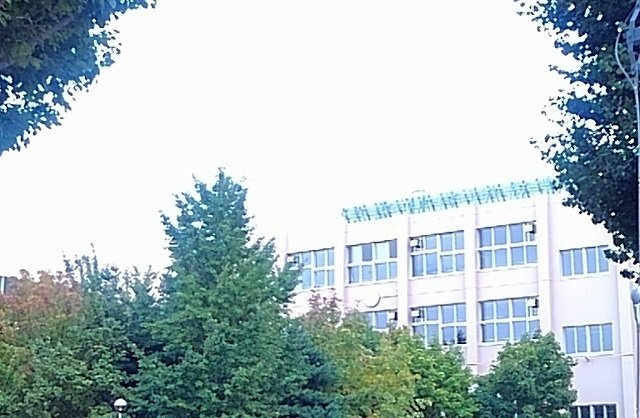 フラワーマンション中央図書館前の周辺|幌南小学校まで1100m