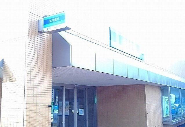 フラワーマンション中央図書館前の周辺|北洋銀行まで100m