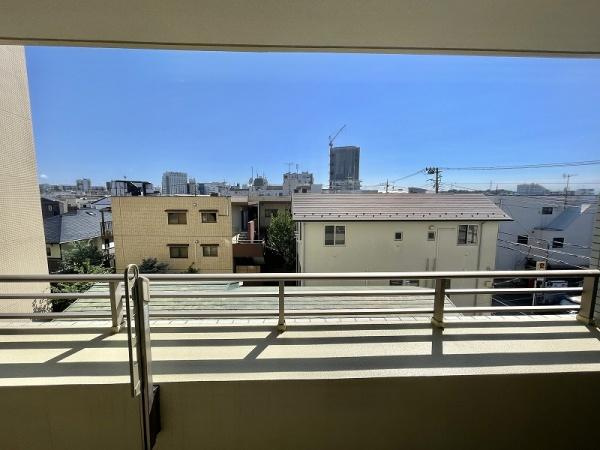 パークホームズ二子多摩川フェアアリーナの展望