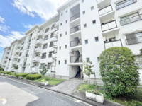 泉北槇塚台住宅五号棟の画像