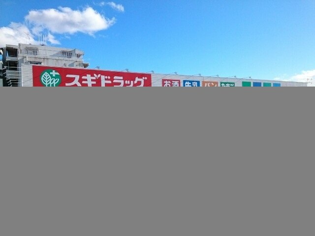 エルディム・ドリーマの周辺|スギドラッグ中居店まで450m