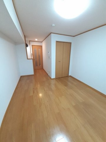 ソルセリエンテＢのその他