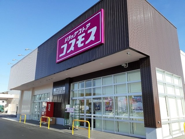 カメリア　塩川　Ｂの周辺|コスモス高崎吉井店まで1400m