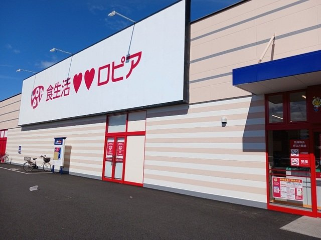 ニューライズ倉賀野の周辺|ロピア倉賀野店まで750m